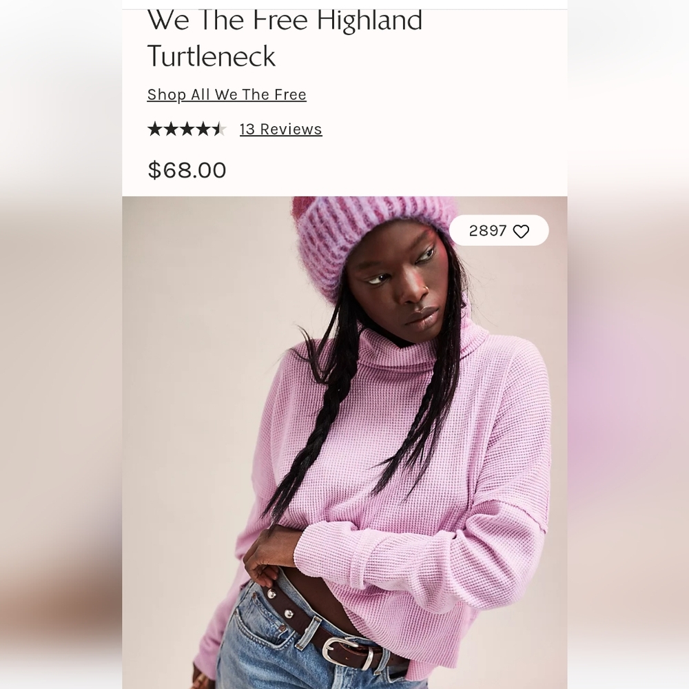 Free people highland turtleneck.